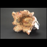 Sunset's Birthplace 7x7x7 in.jpg